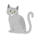 Cat Care
