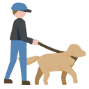 Dog Walking